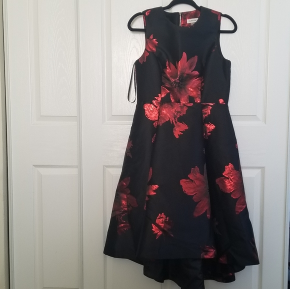 Calvin Klein Dresses & Skirts - Calvin Klein Black Rose Dress 6